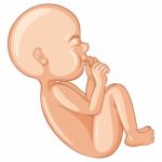 unborn-baby-symbol
